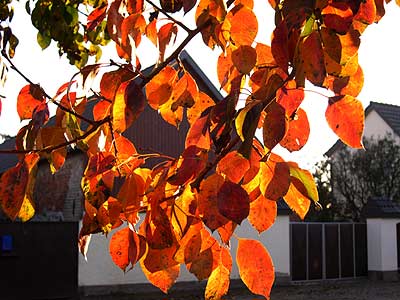 Herbstfarben