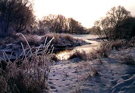 Ehle bei Biederitz im Winter