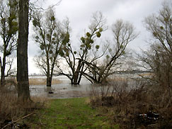 M&uuml;hle zwischen Lostau und Hohenwarthe