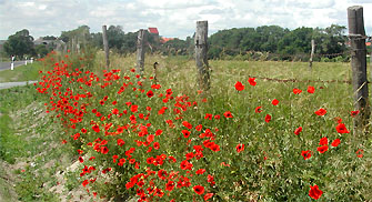 Blick auf K&ouml;rbelitz