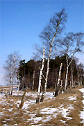 Am Waldrand Pietzpuhler Weg